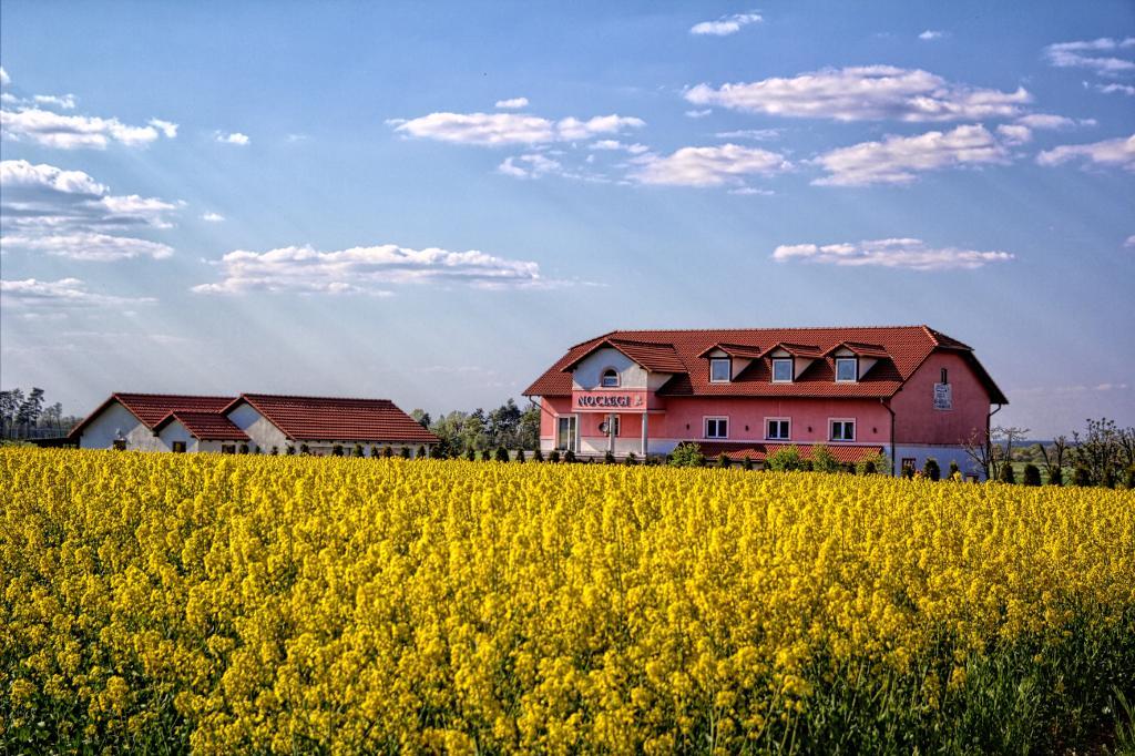 Noclegi Biala Roza Boleslawiec  Dış mekan fotoğraf