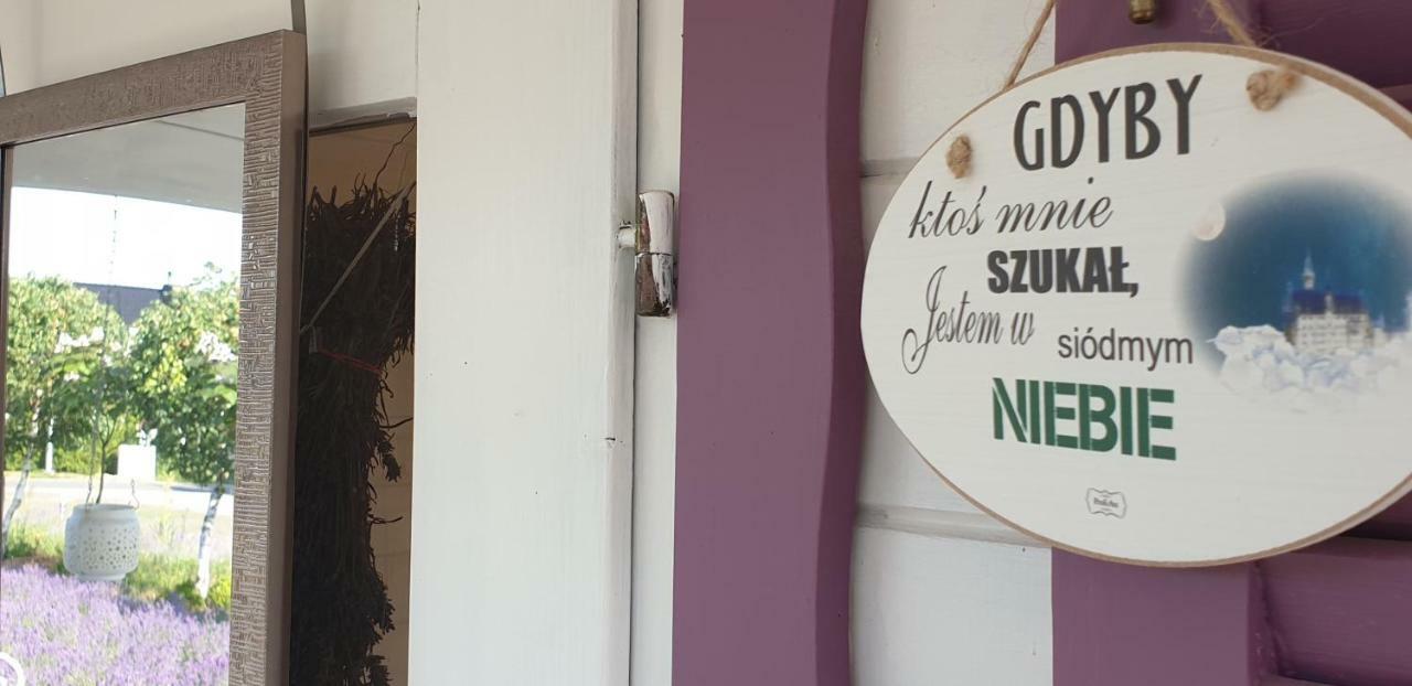 Noclegi Biala Roza Boleslawiec  Dış mekan fotoğraf